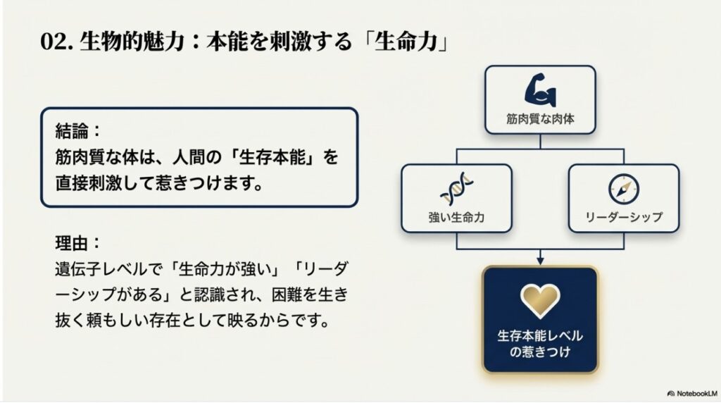 筋肉質な体が生存本能を刺激し強い生命力とリーダーシップを感じさせる理由