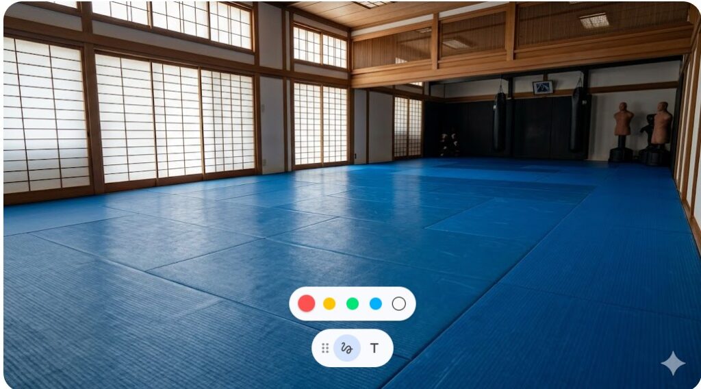 日本の伝統的な格闘技道場の内観。青い畳が敷き詰められ、藤井惠選手から継承した寝技特化の修業環境。
